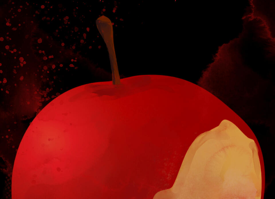 a picture of a half-bitten apple